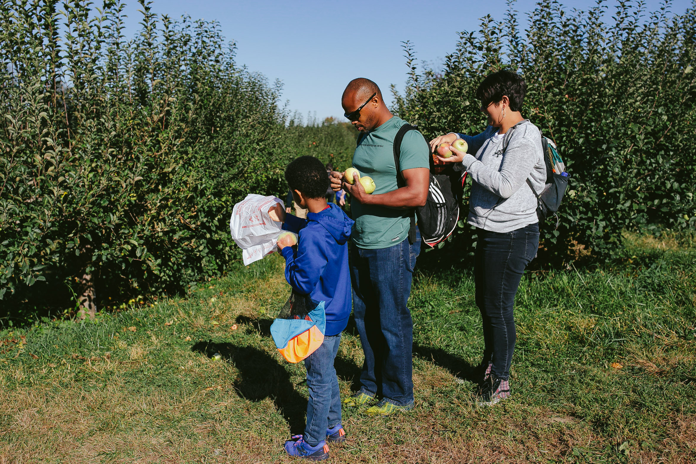 Bronx Family Day In The Life Experience Tiny House Photo Apple Picking-29.jpg
