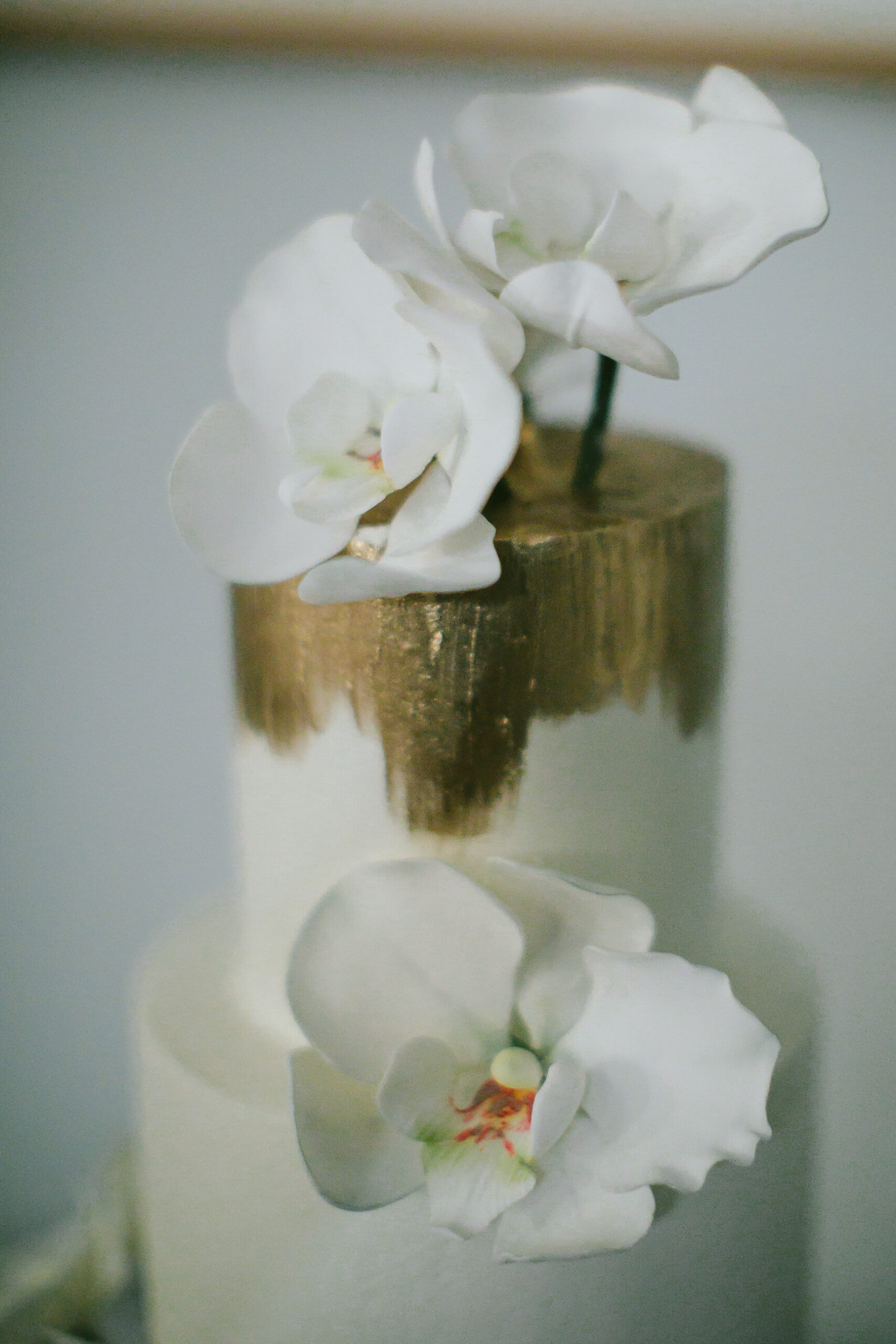 Mount Dora Wedding Cake Orchids
