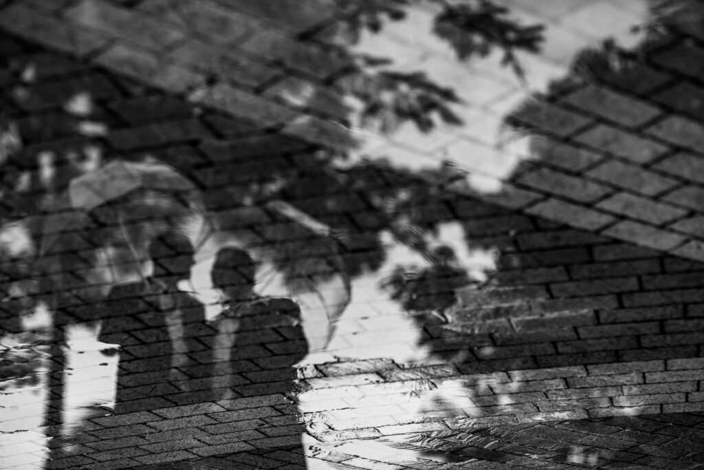 Albany Elopement Photographer