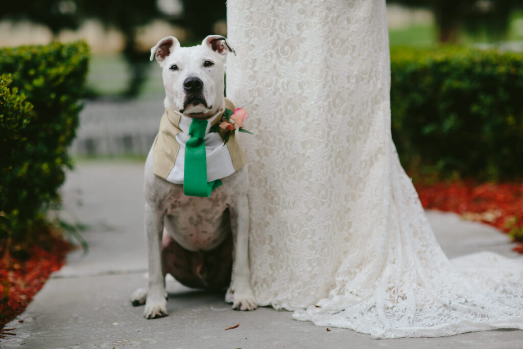 South Florida Wedding Photographer