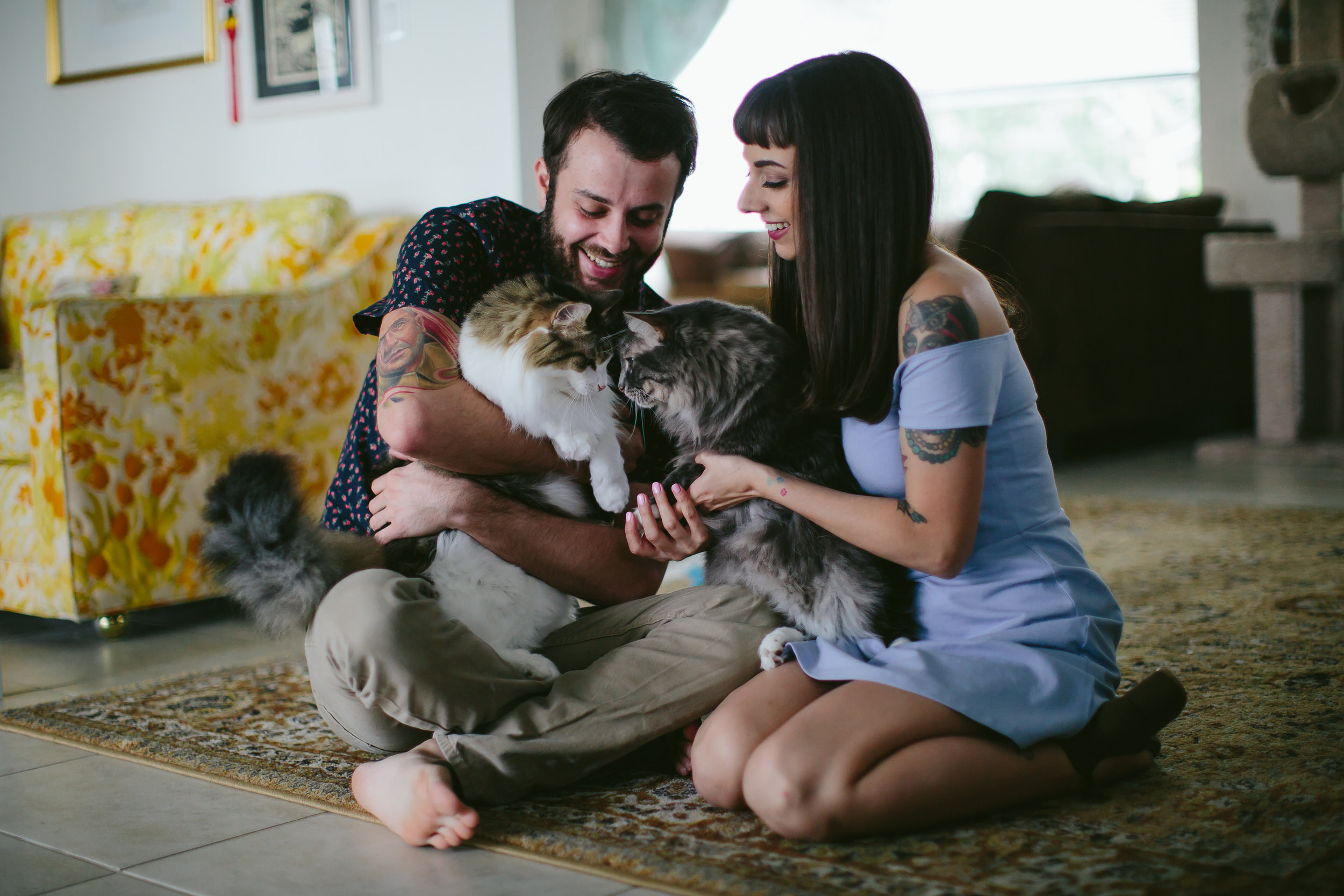 engagement-session-home-cats.jpg