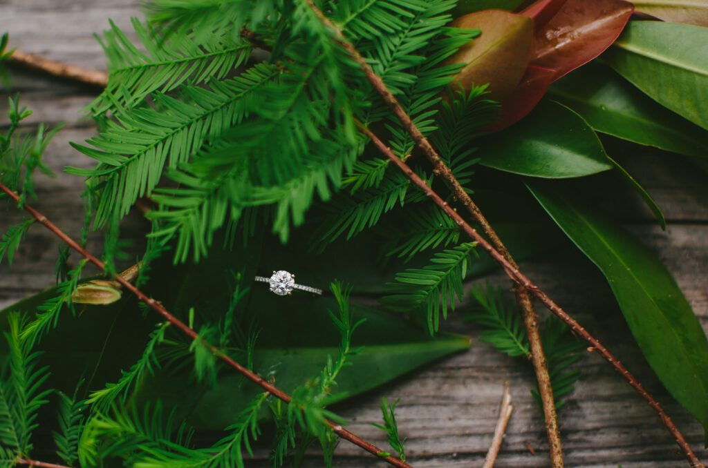 South Florida Proposal Photographer