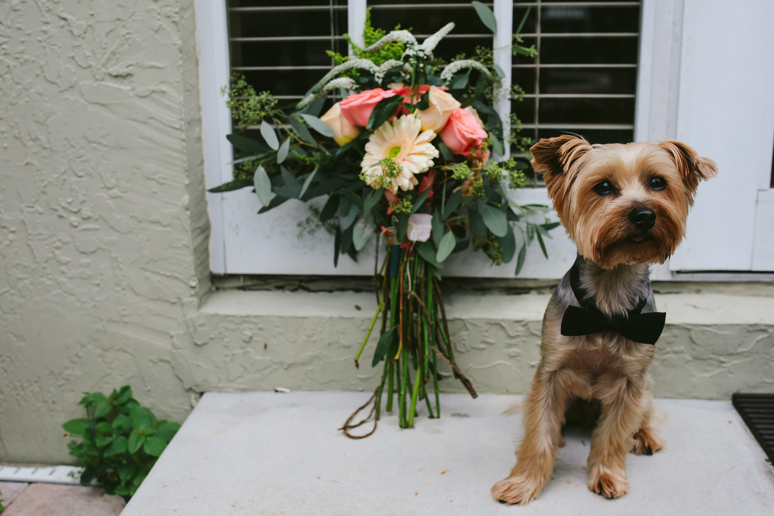 Adorable dog and bridal bouquet