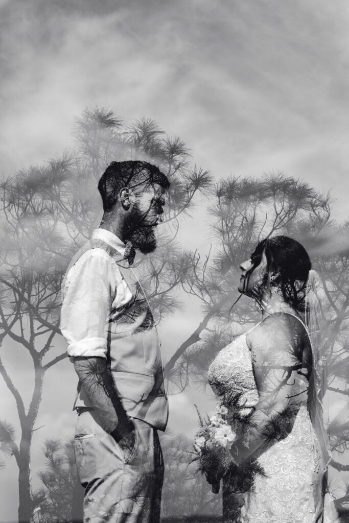 Micro Wedding Photographer Albany