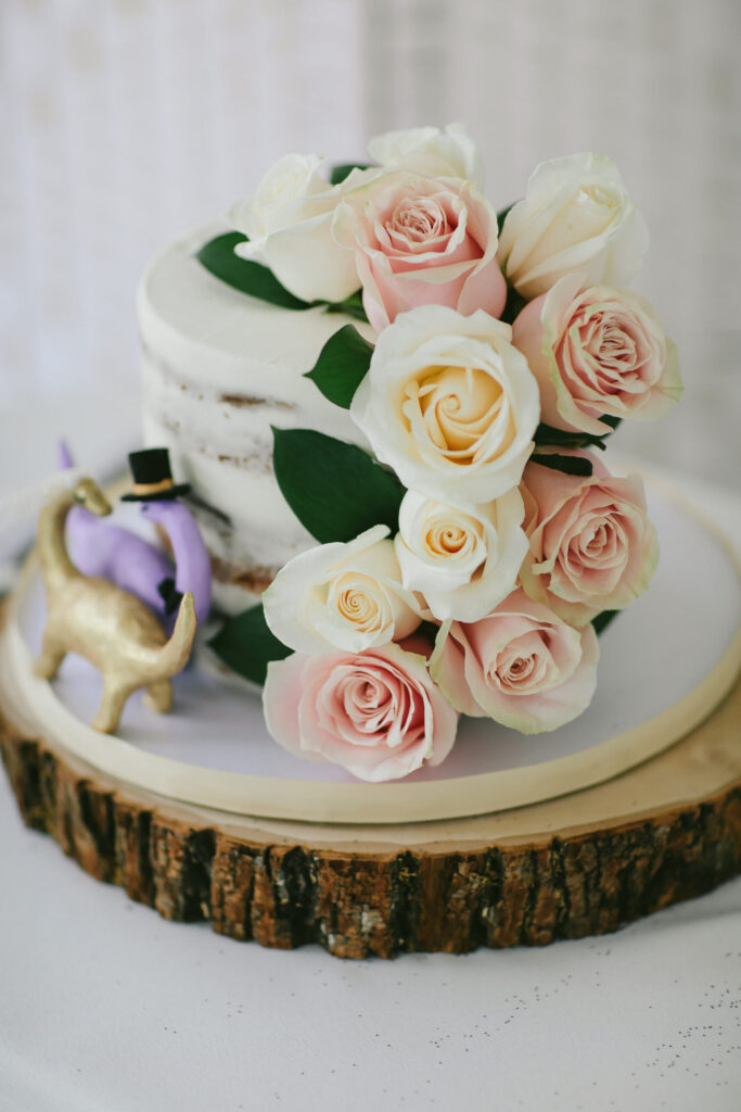 Micro Wedding Photographer Albany