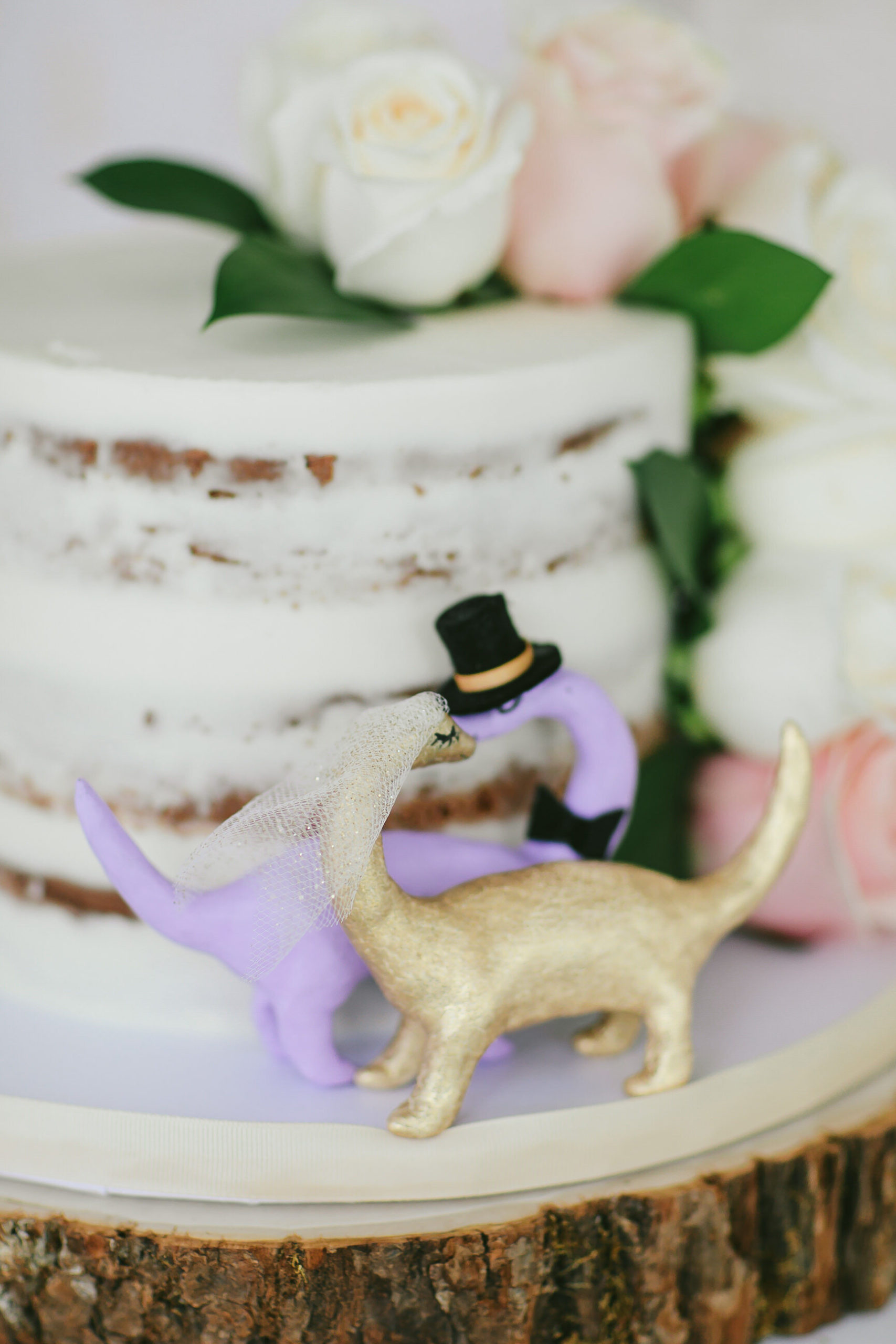 Dinosaur-Cake-Toppers-Vegan-Wedding-Miami
