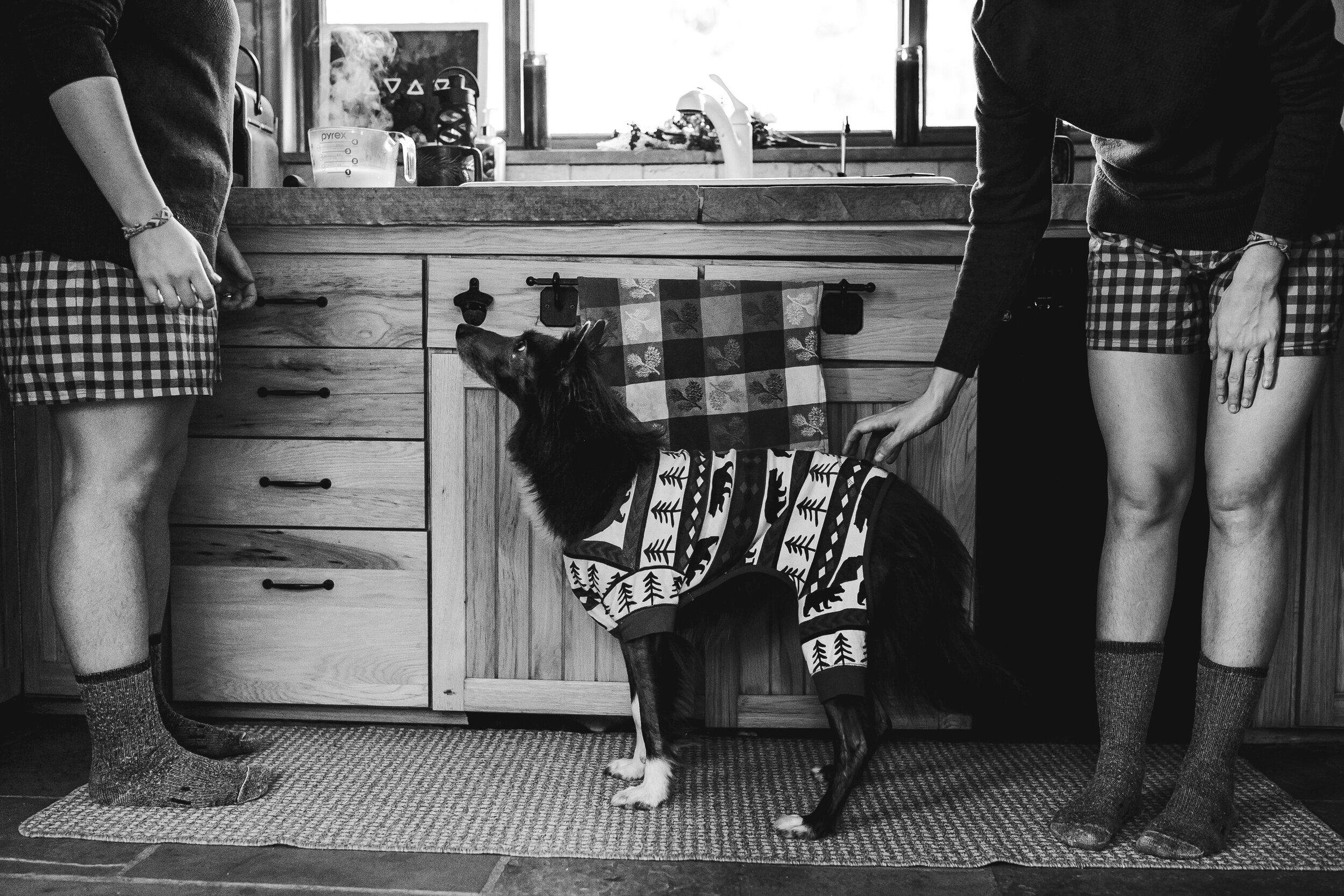Two Brides wearing boxers with their dog in their cabin kitchen before their elopement