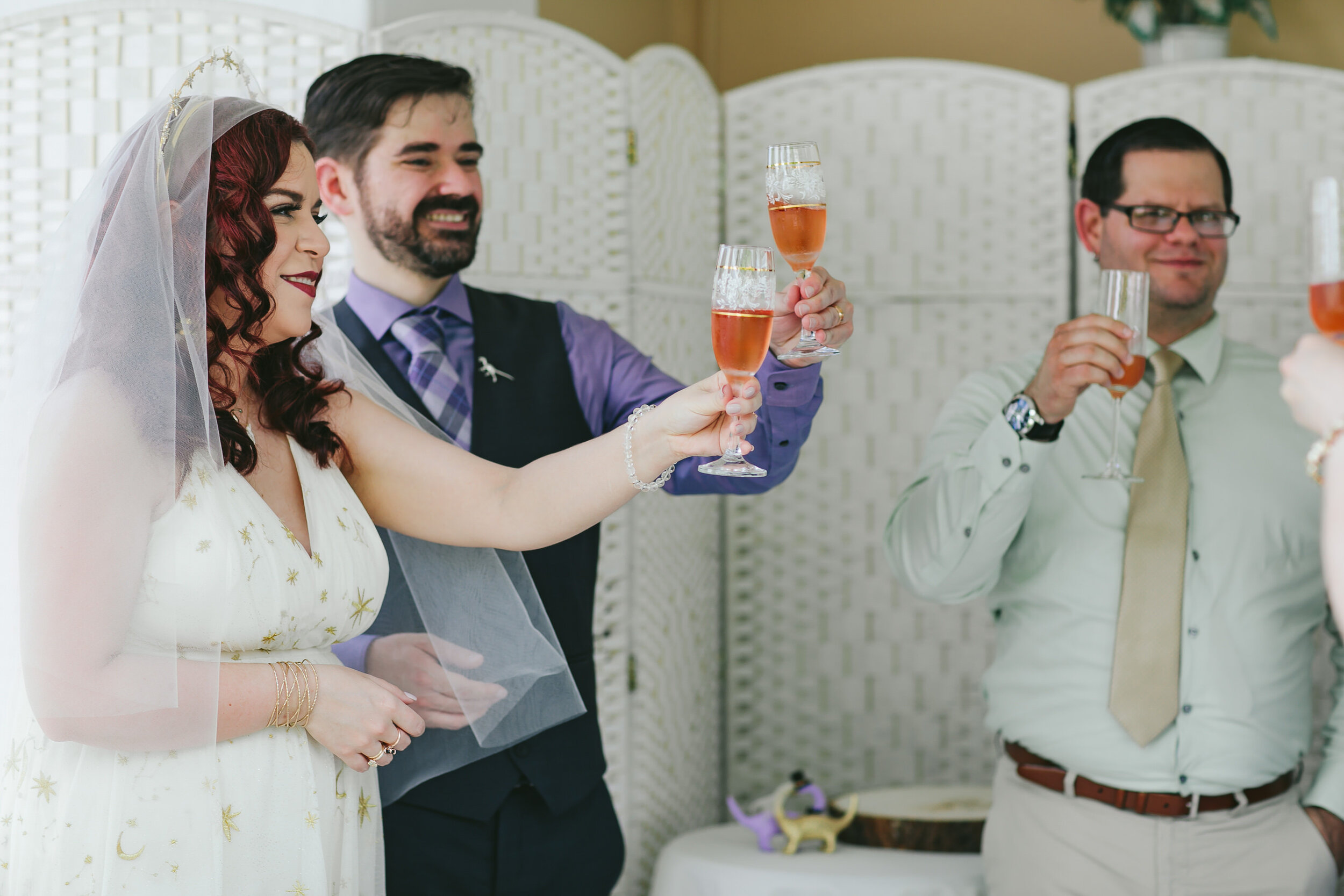 Wedding-Toast-Intimate-Backyard-Ceremony