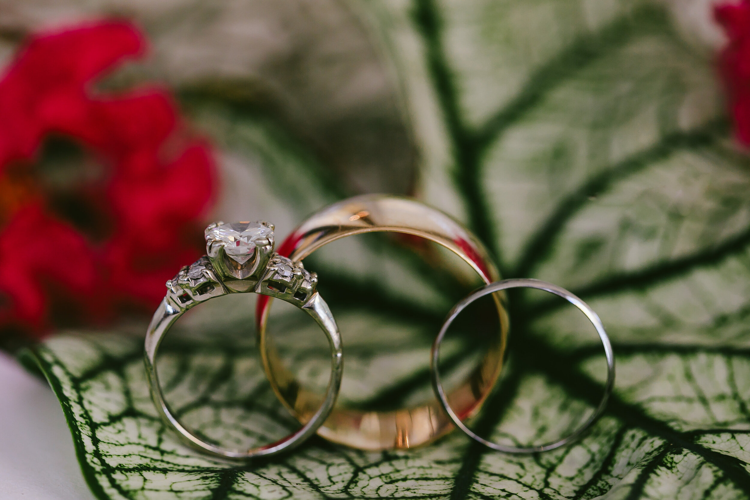 Wedding Ring Details Apopka Wedding Day