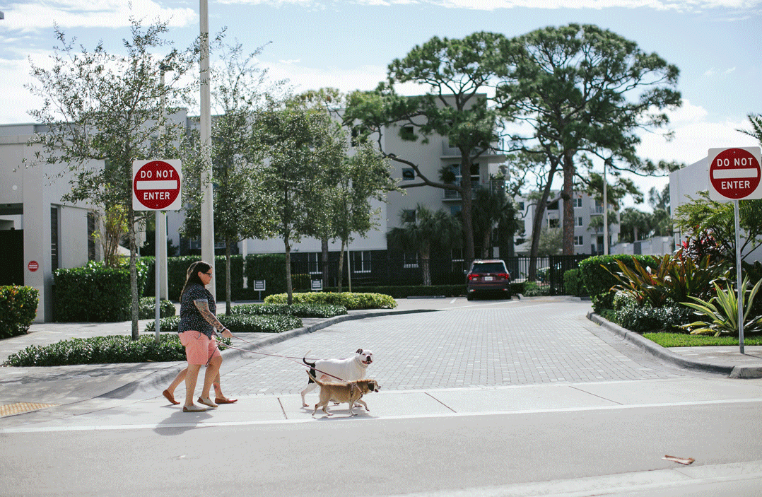 Wilton-Manors-Engagement-Session-Walking-Dogs.gif