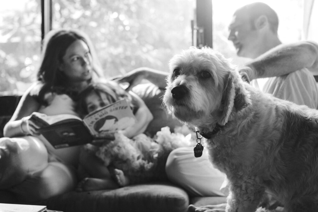 Saratoga Springs Family Photographer