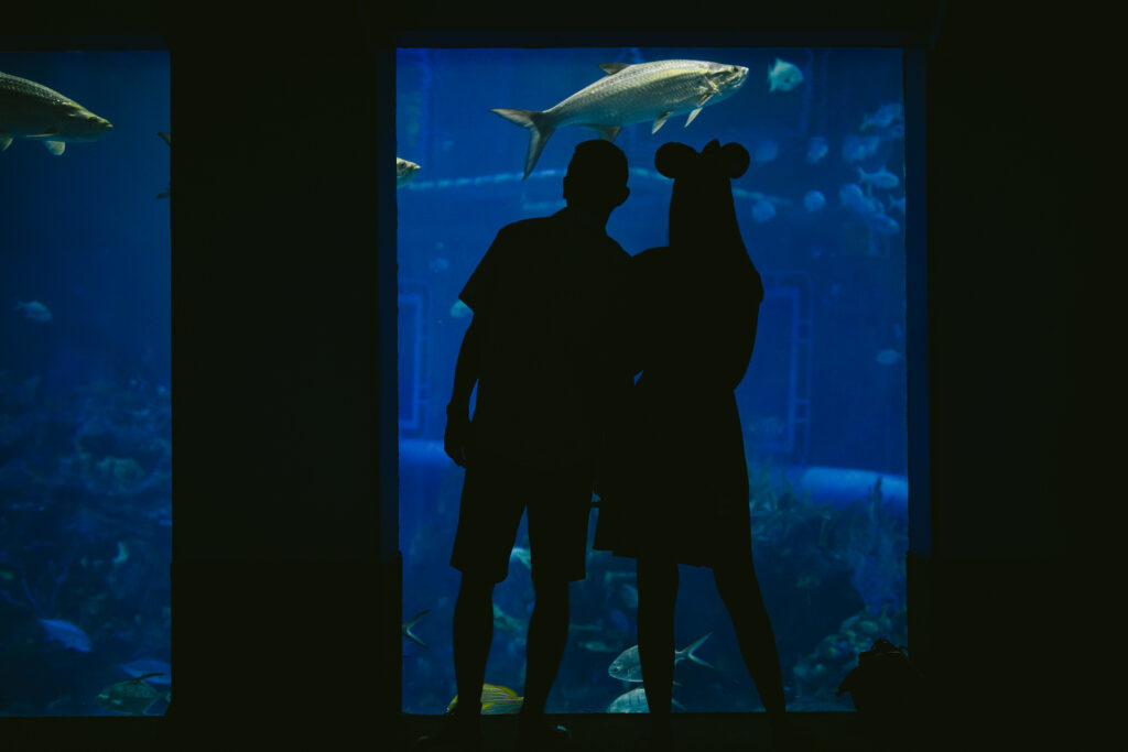 Hudson Valley New York Elopement Photographer