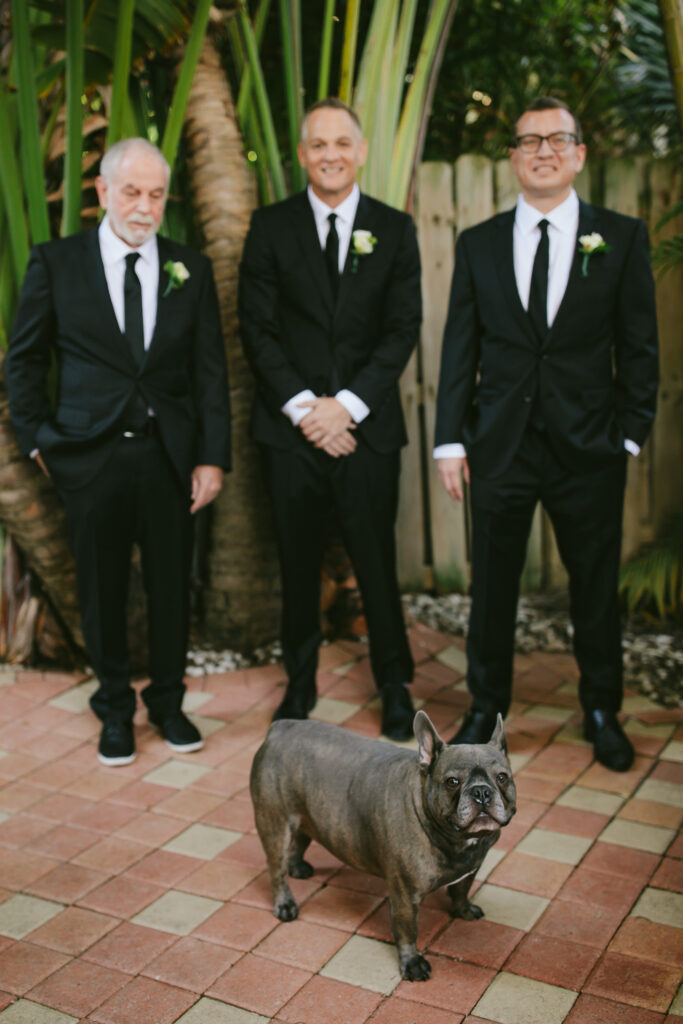 Frenchie and Groomsman