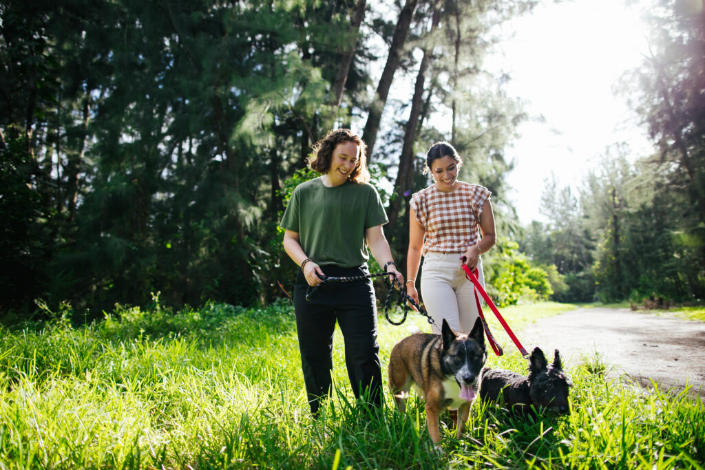 Wolf Lake Engagement Session with Dogs