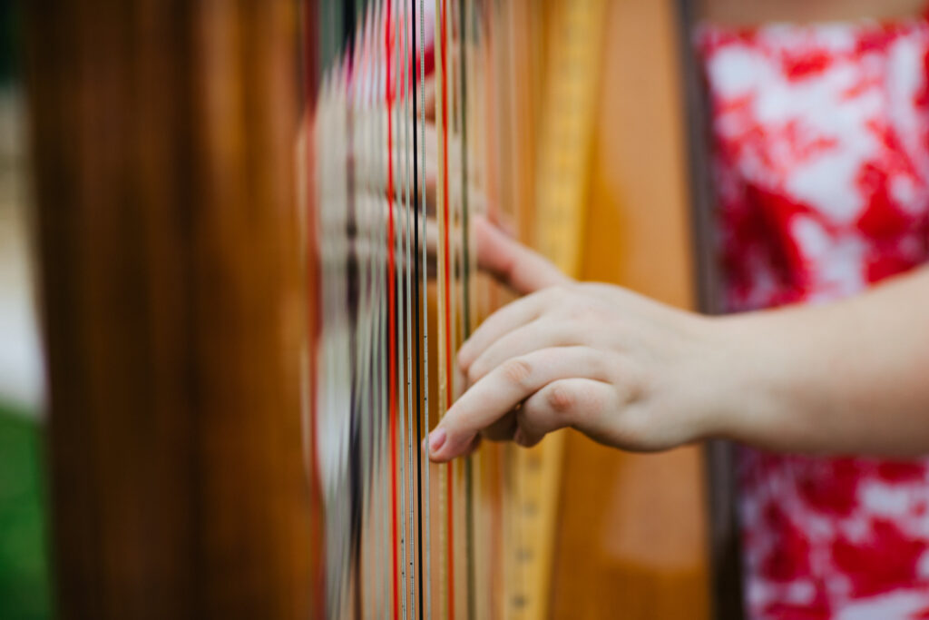 LGBTQ+ Wedding Songs Harp Player Tori Parish