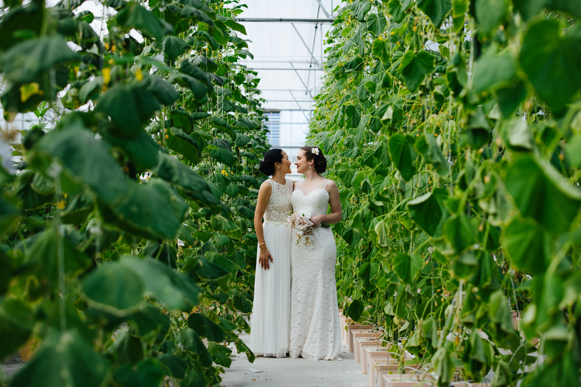 Two Brides First Look Colab Farms Destination Wedding