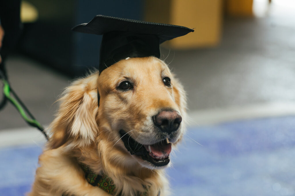 Florida International University Graduation