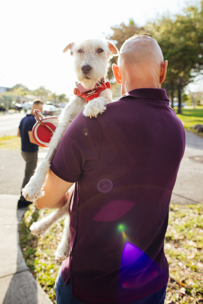 Pet Portraits Wilton Manors