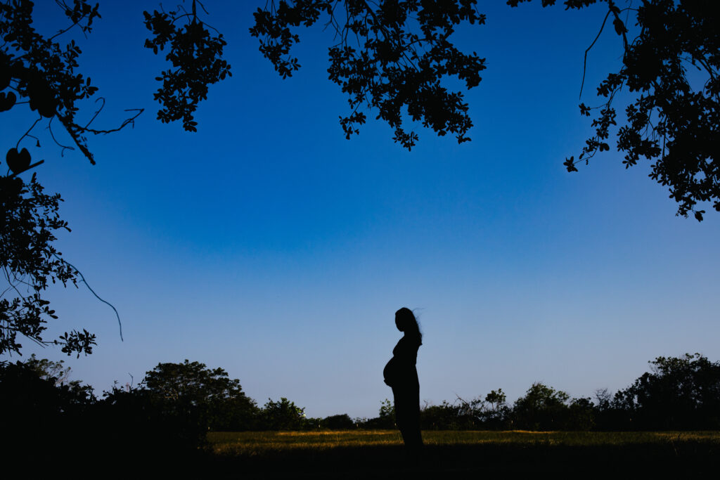 Pregnancy Portraits in Florida Nature