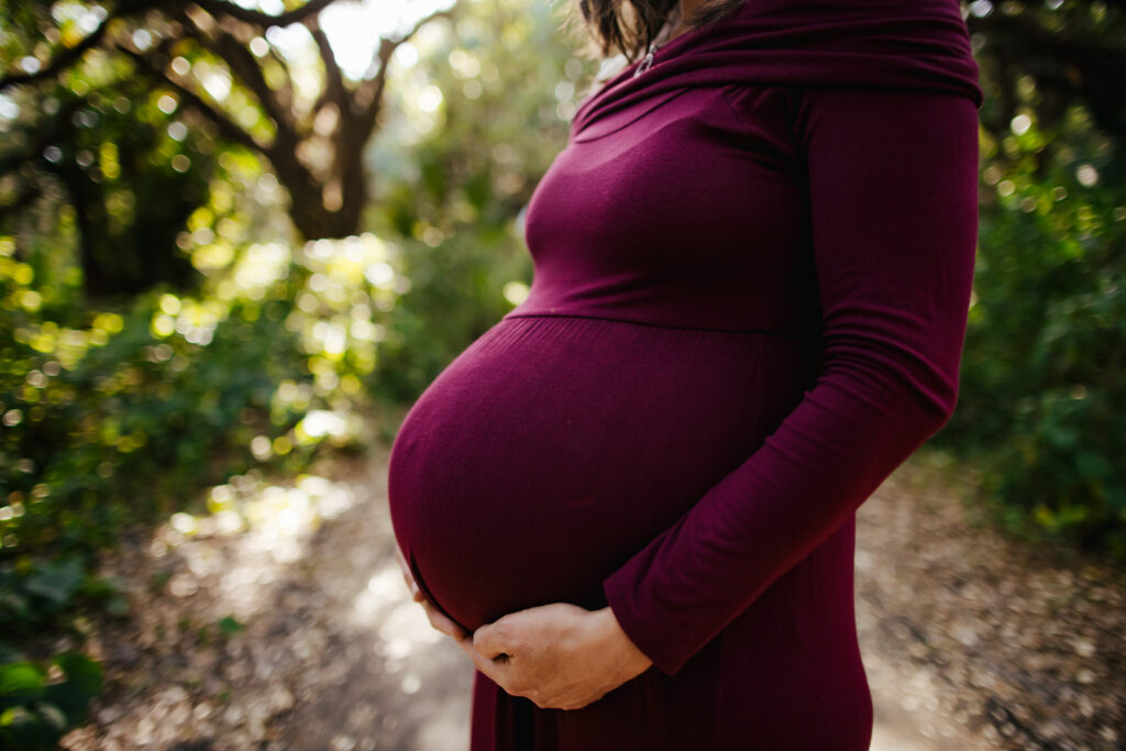 Pregnancy Portraits in Florida Nature