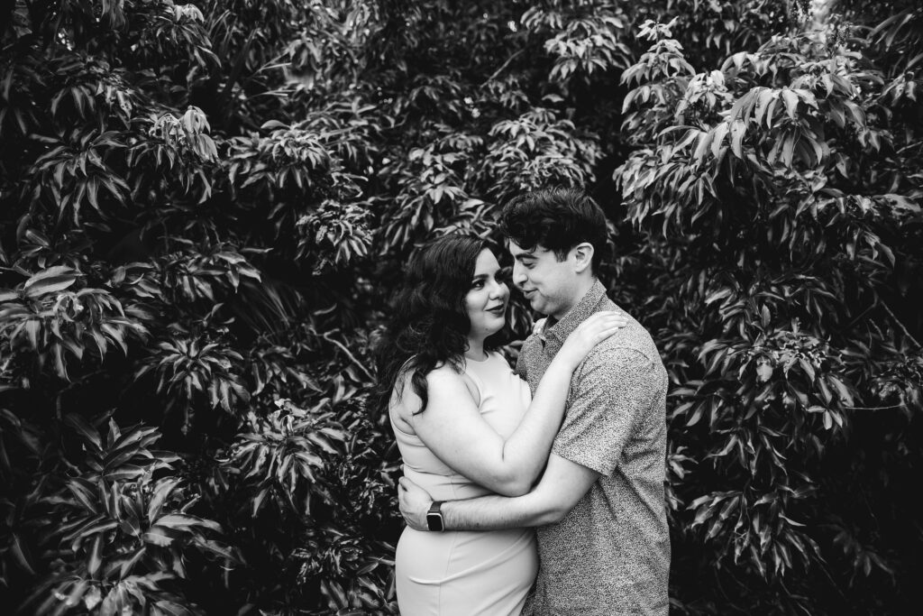 Vero Beach Tree House Engagement Photos