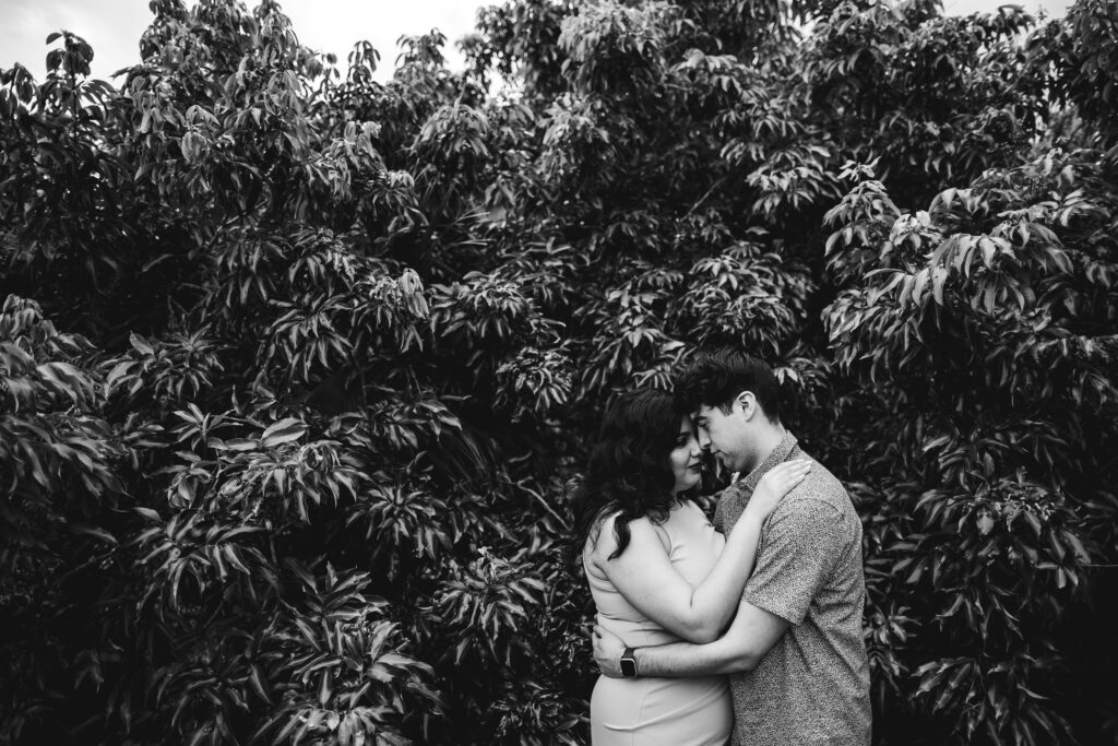 Vero Beach Tree House Engagement Photos