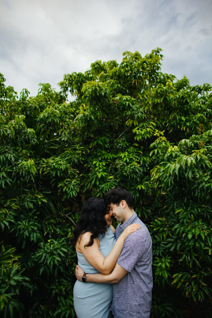 Vero Beach Tree House Engagement Photos