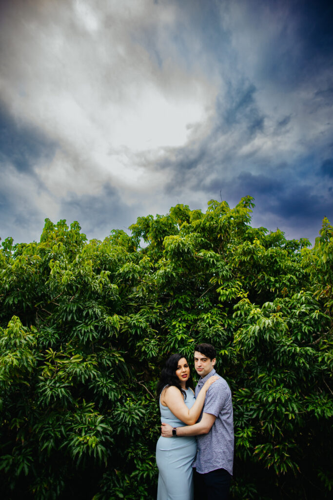 Vero Beach Tree House Engagement Photos