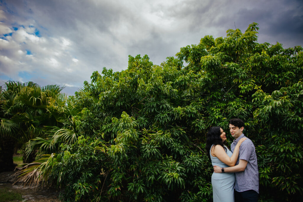 Vero Beach Tree House Engagement Photos