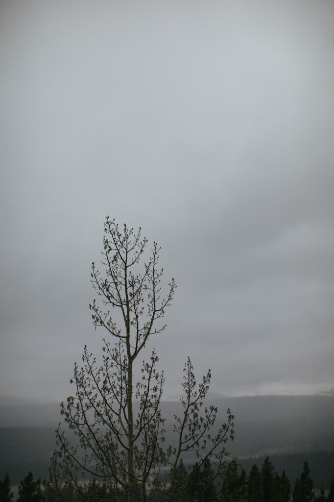 Snowy Colorado Mountain Elopement