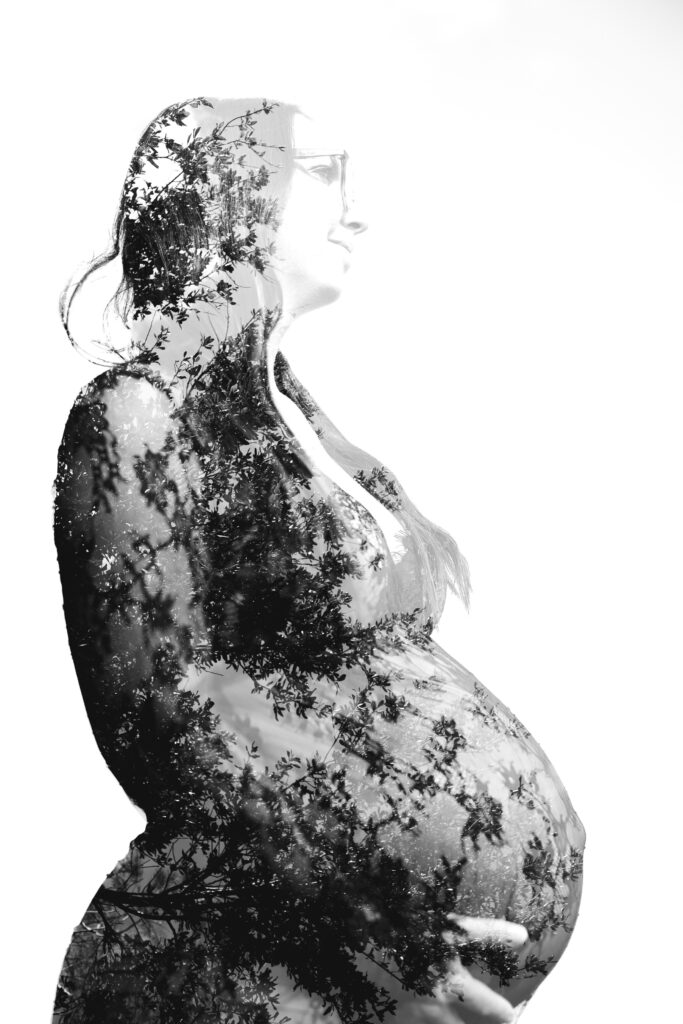 Davie Pregnancy Portraits