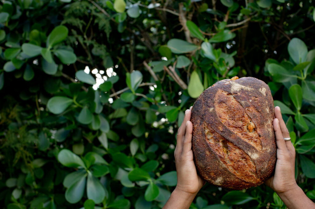 Sourdough Bread Cookbook Photography