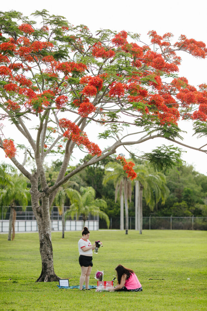 South Florida Proposal Photographer