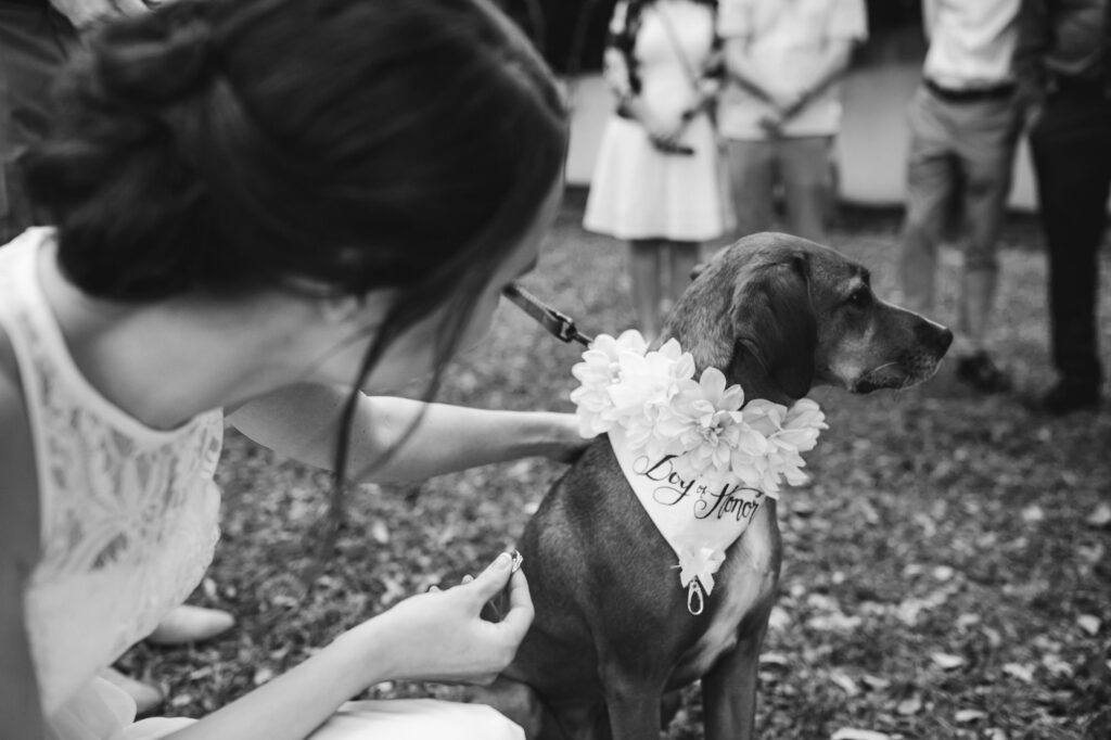 Destination Wedding Photographer Dogs at Weddings