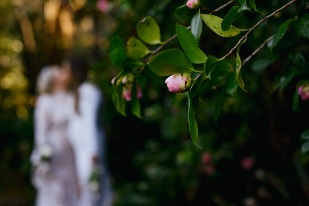 LGBTQ+ Destination Elopement Gardens