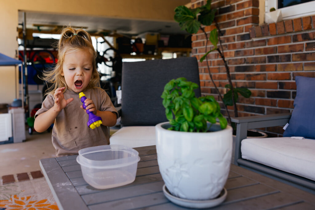 Albany Documentary Family Photographer
