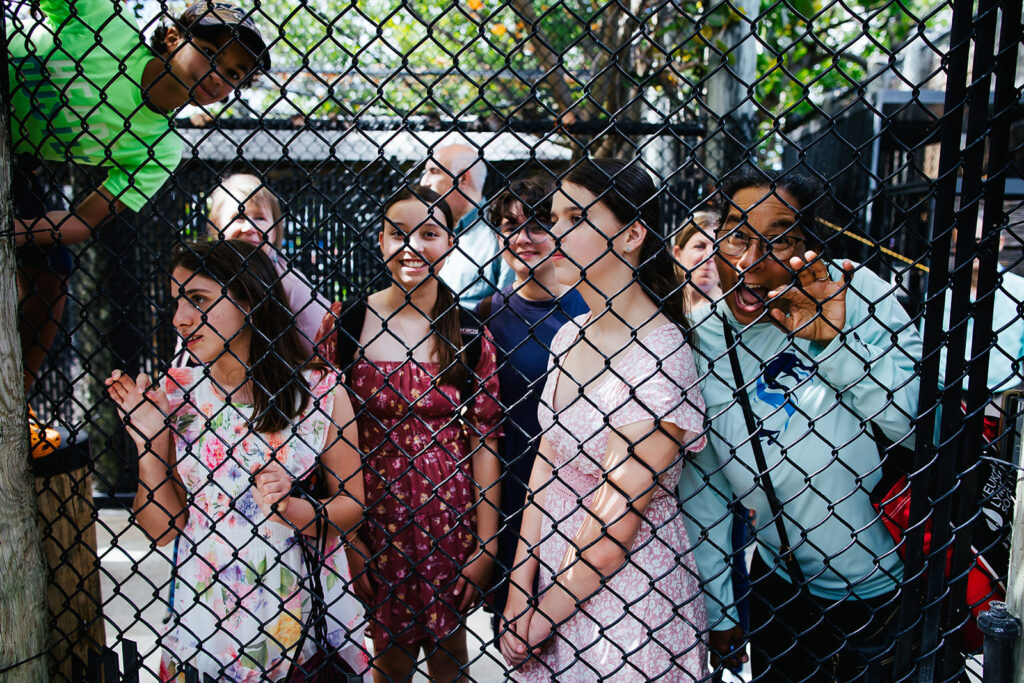 Mitzvah Photographer New England