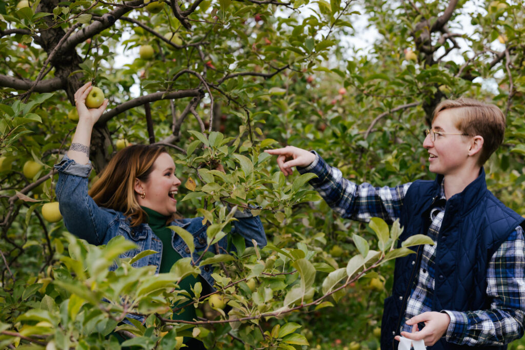 Fall Engagement Photos Apple Picking