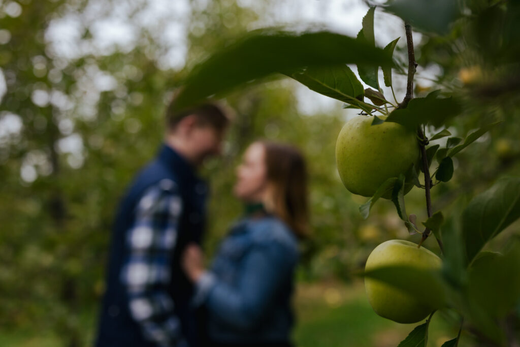 Fall Engagement Photos Apple Picking