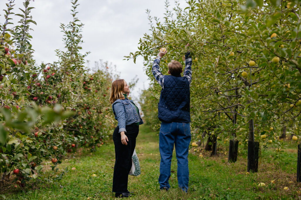 Fall Engagement Photos Apple Picking