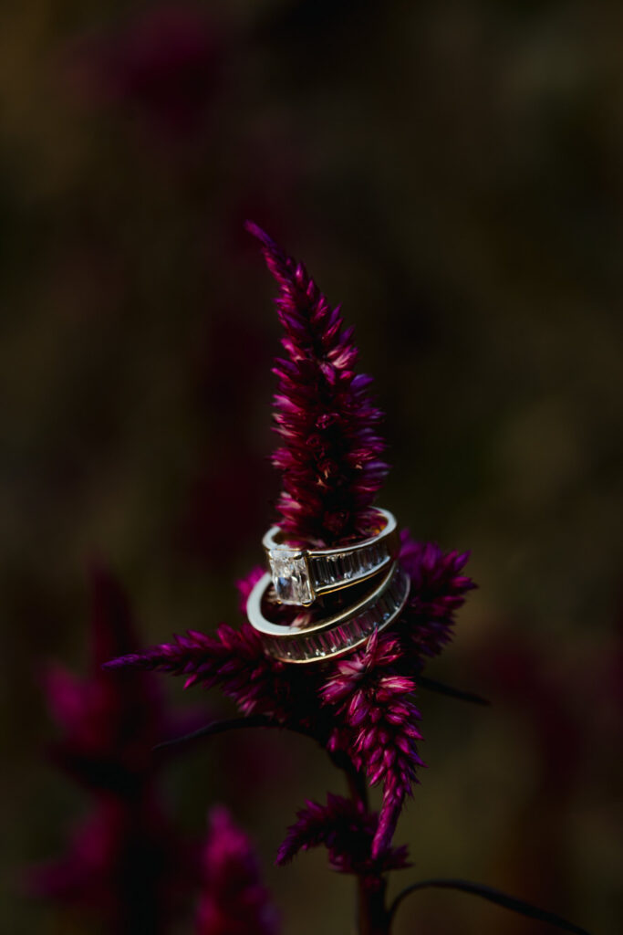 Queer Hudson Valley Wedding Photographer