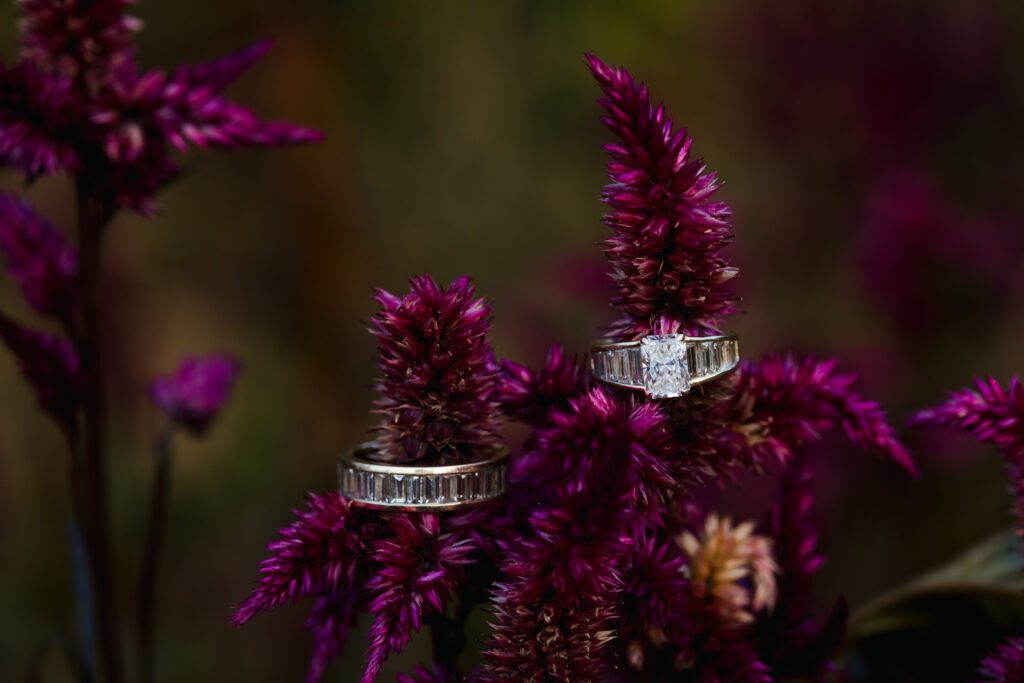 Hudson Valley Wedding Photographer