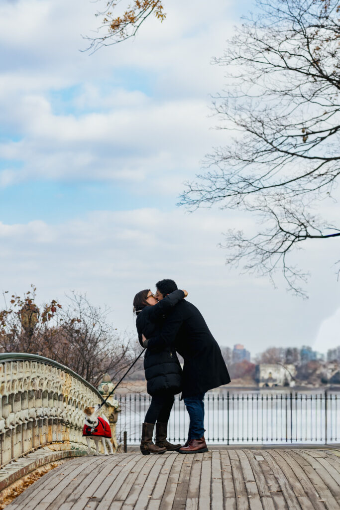 Surprise Proposal in Central Park
