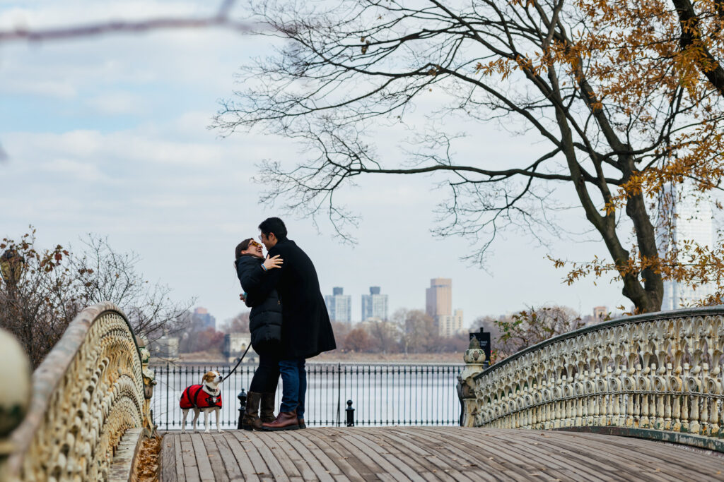 Surprise Proposal in Central Park