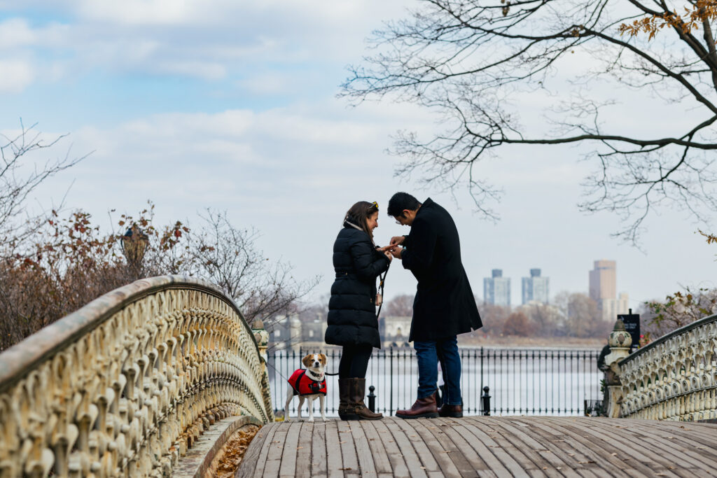 Surprise Proposal in Central Park