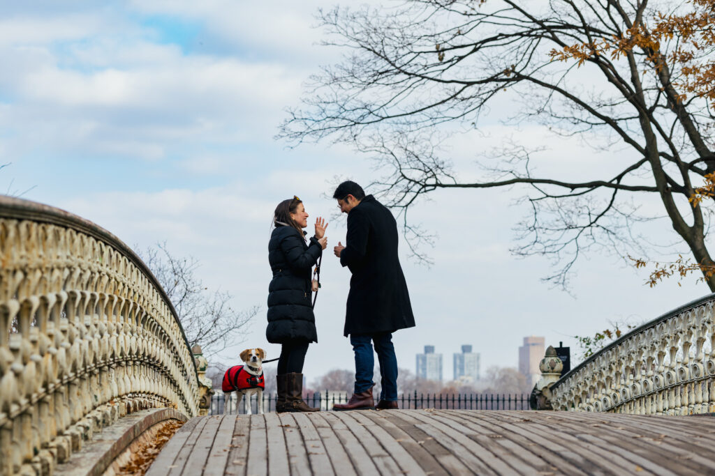 Surprise Proposal in Central Park