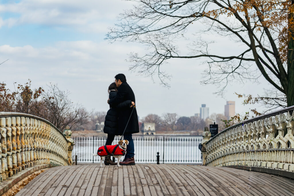 Central Park Surprise Proposal