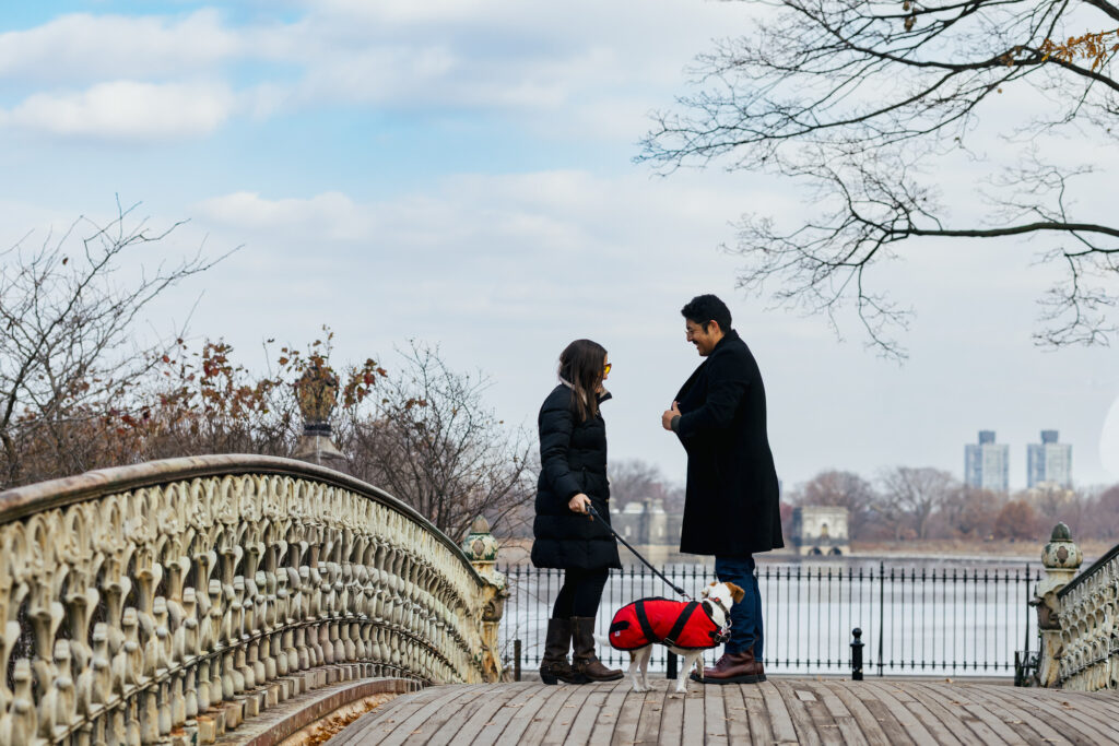 Central Park Surprise Proposal