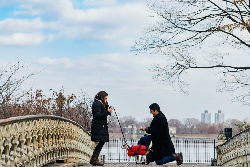 Central Park Surprise Proposal