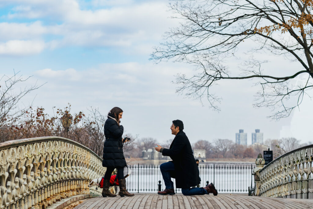 Surprise Proposal in Central Park